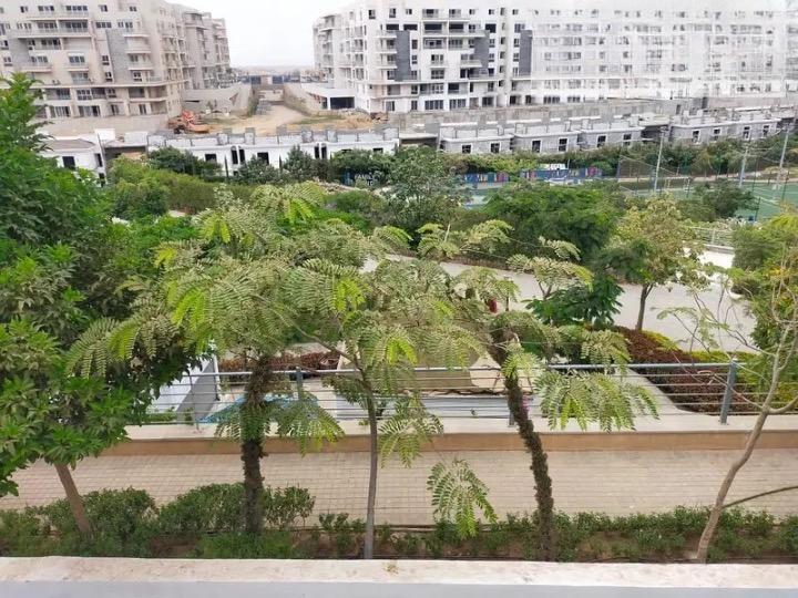 صورة مصغرة 5