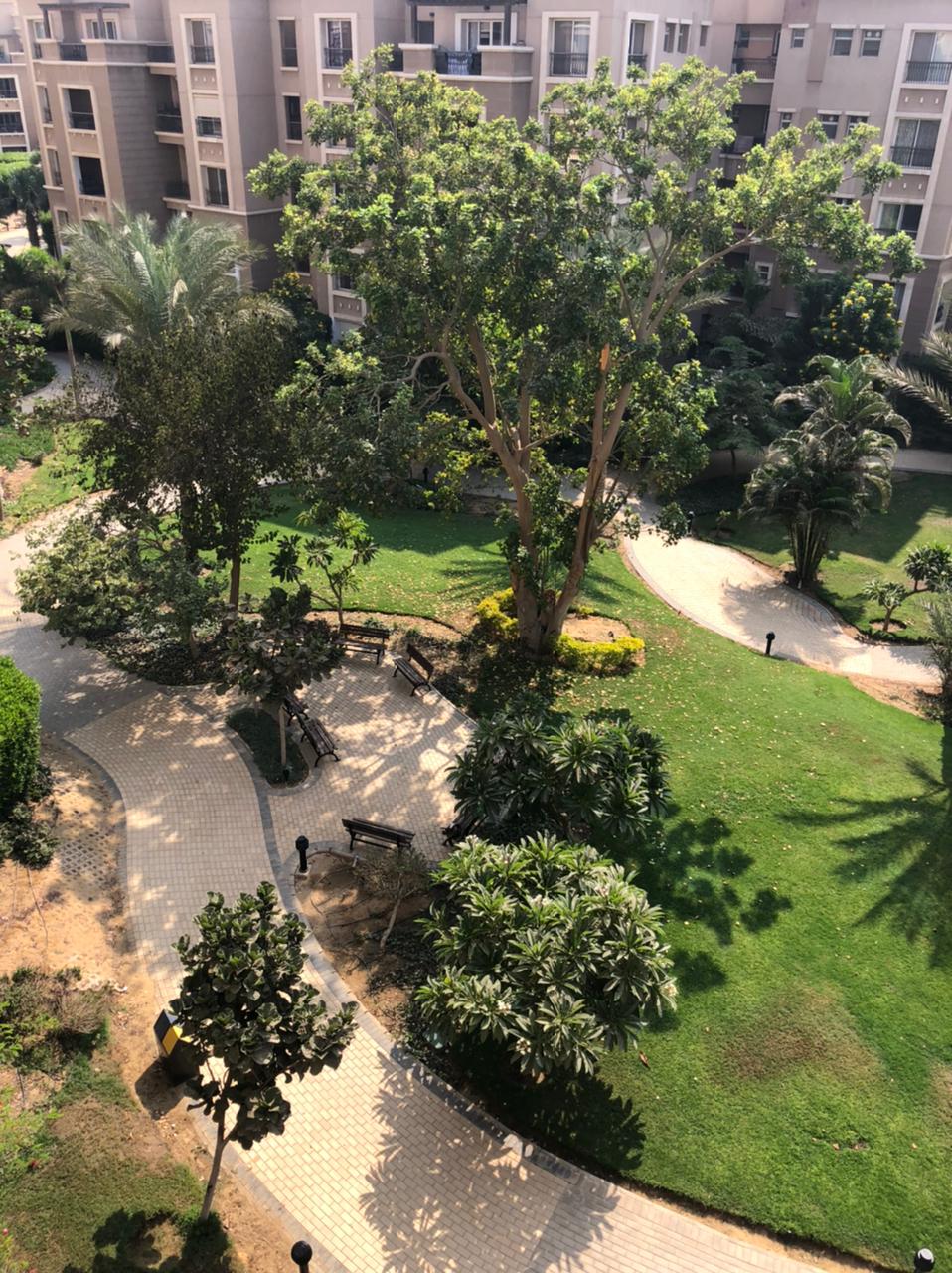 صورة مصغرة 9