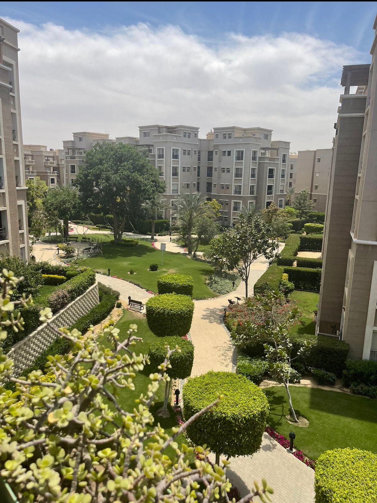 صورة العقار 2