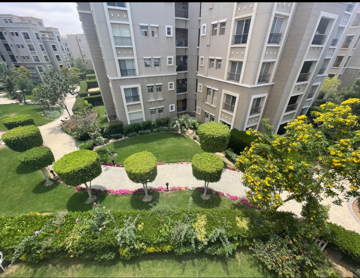 صورة العقار 3