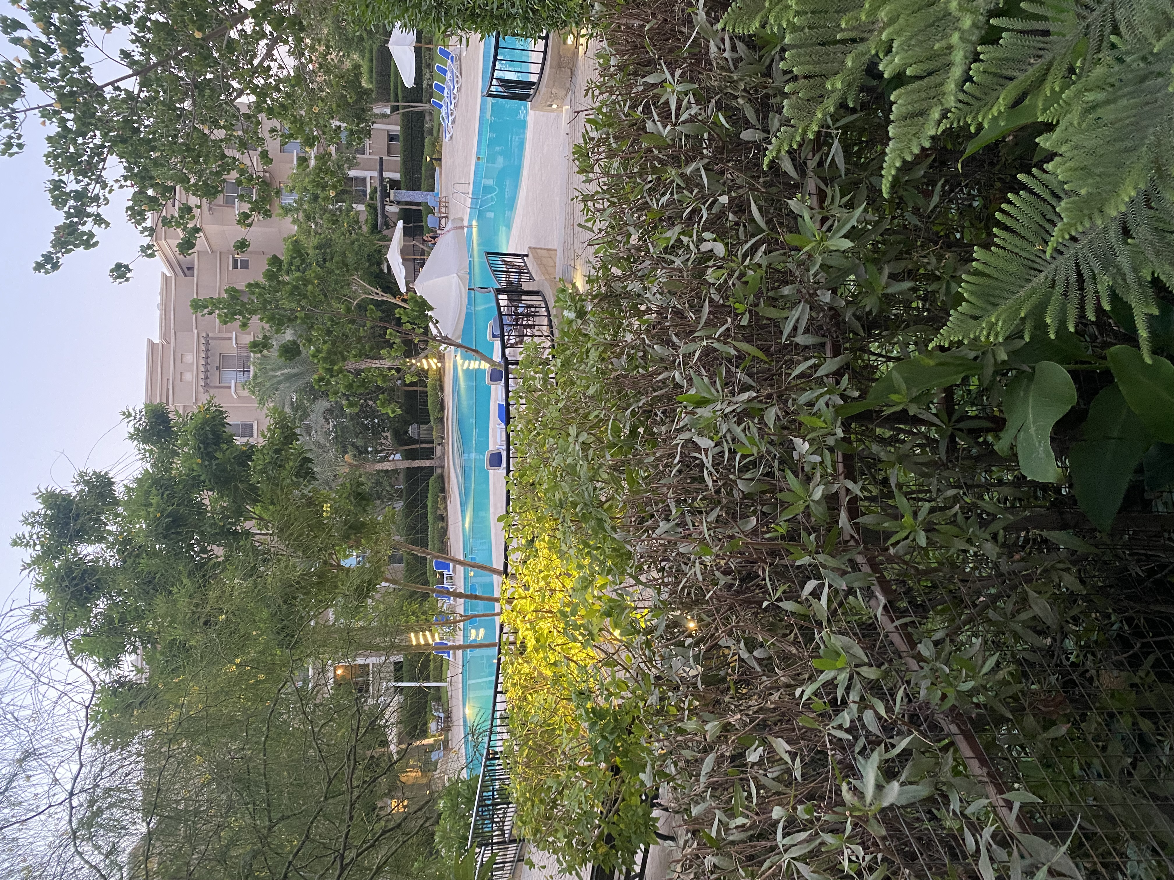 صورة مصغرة 6