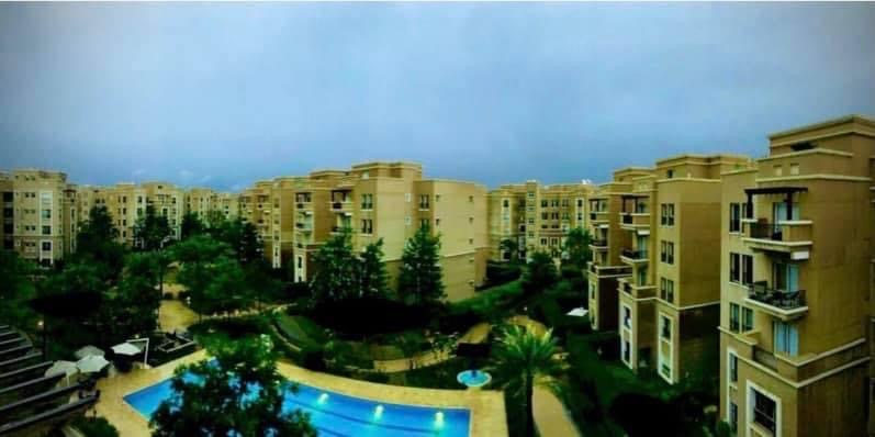 صورة مصغرة 7