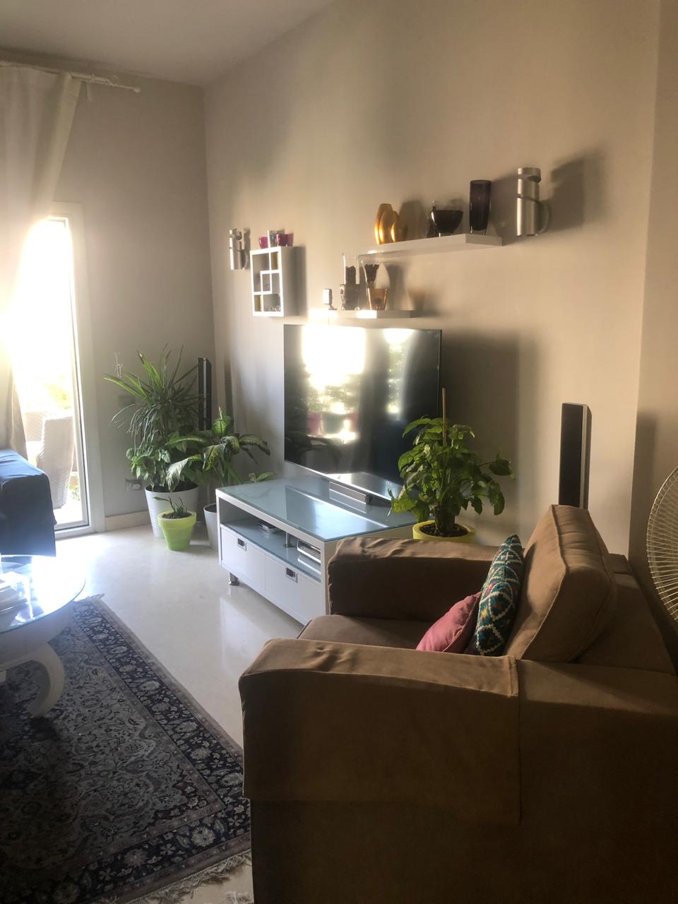 صورة مصغرة 12