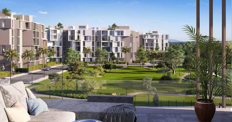 صورة مصغرة 7