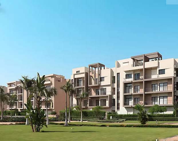 صورة مصغرة 7