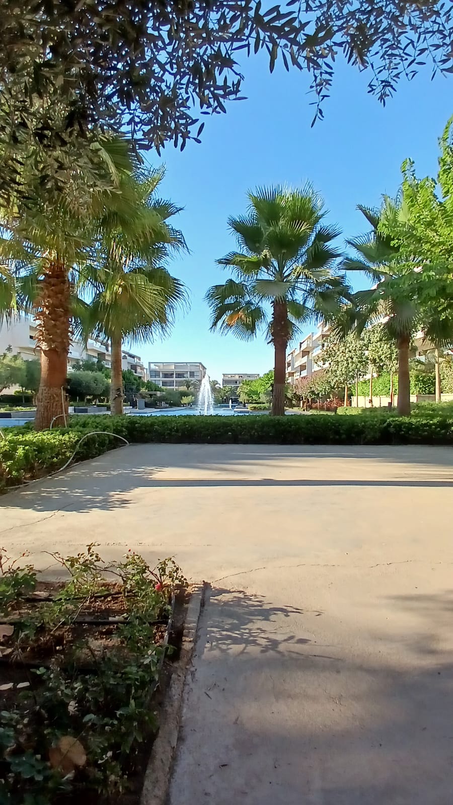 صورة العقار 3