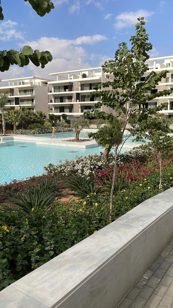 صورة مصغرة 8