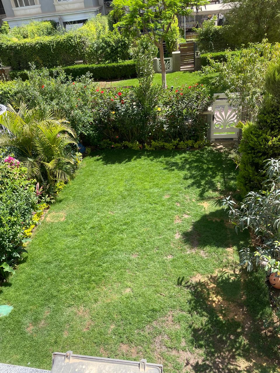 صورة مصغرة 19