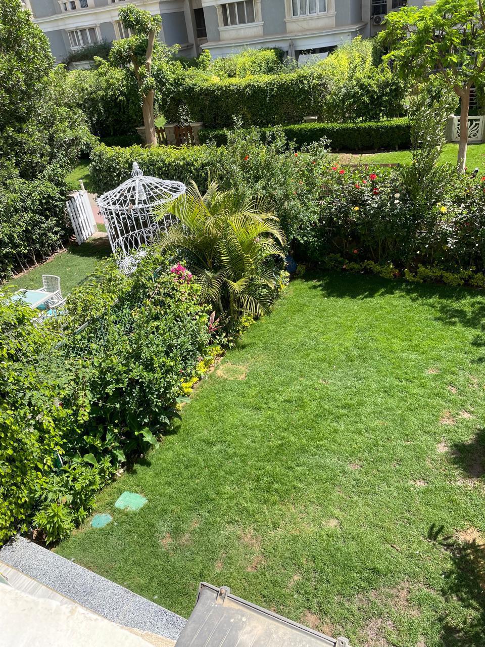 صورة مصغرة 20