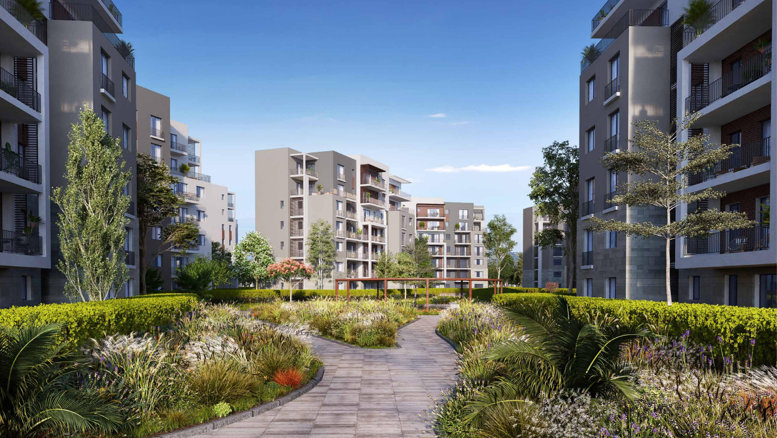 صورة مصغرة 7