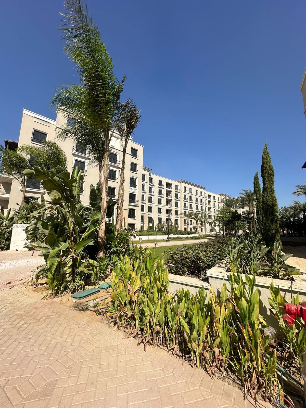 صورة مصغرة 7