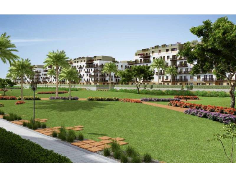 صورة مصغرة 5