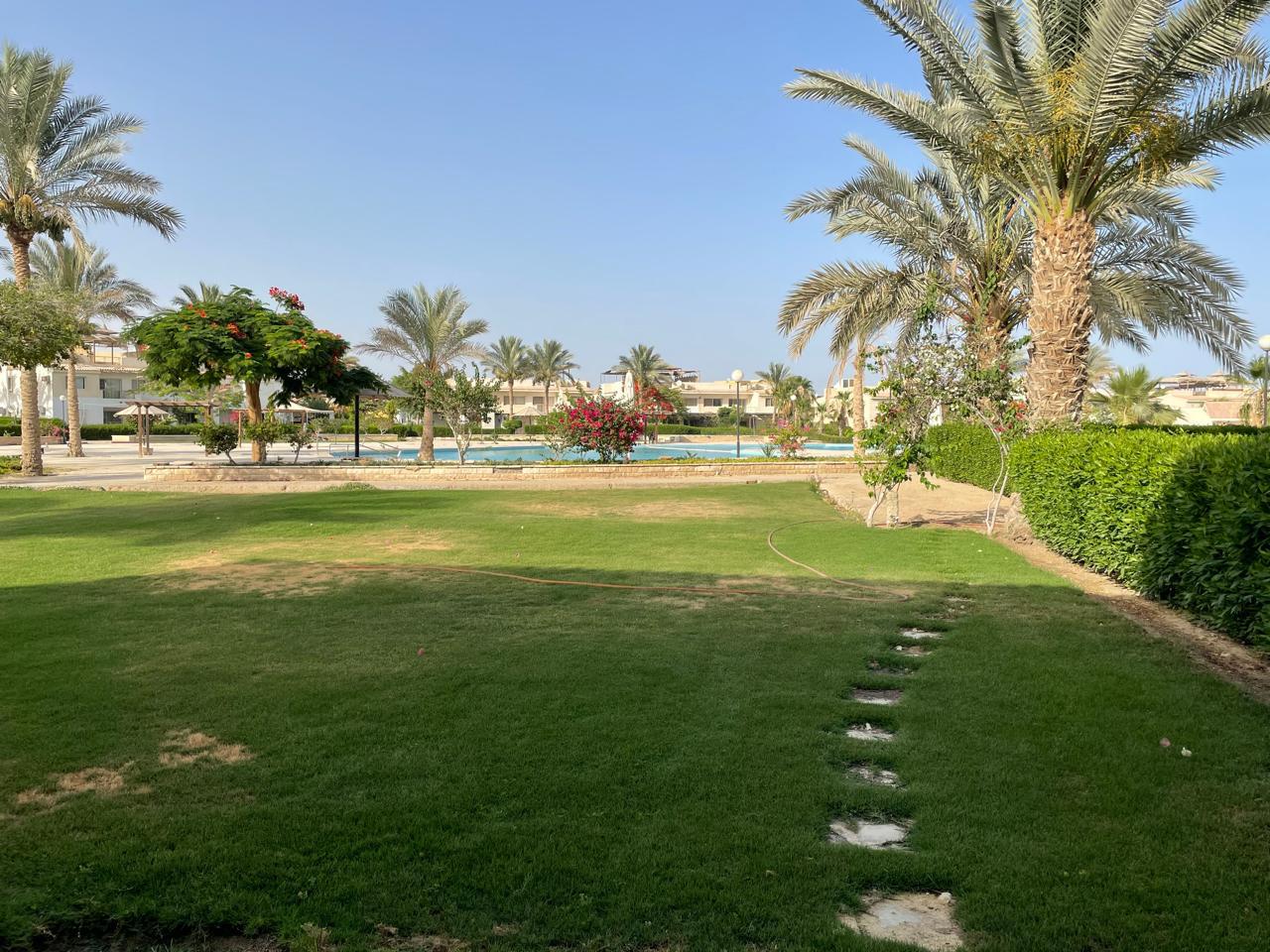 صورة مصغرة 5