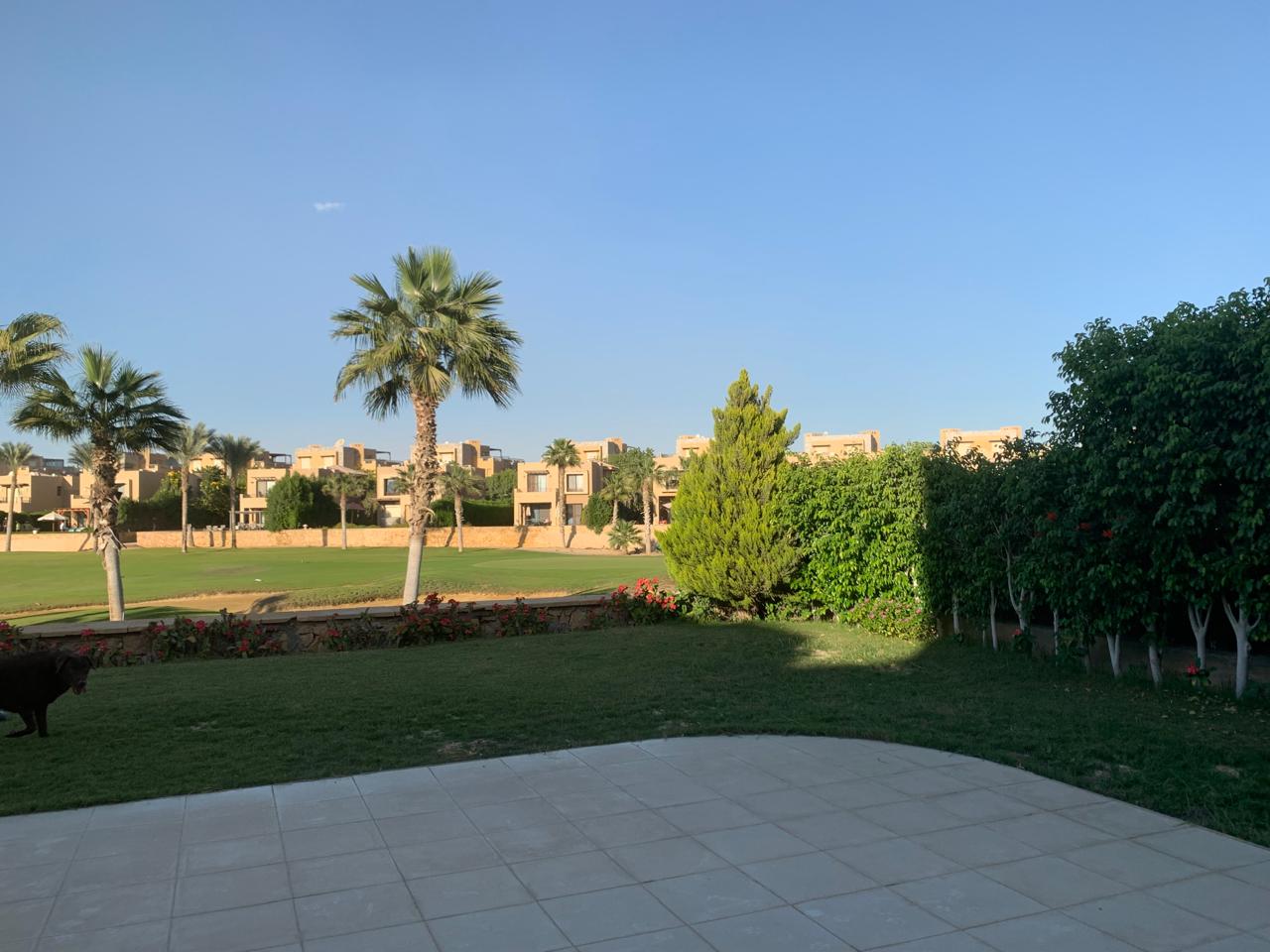 صورة مصغرة 7