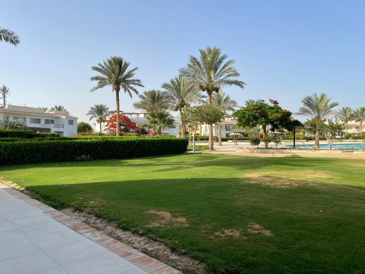 صورة العقار 3