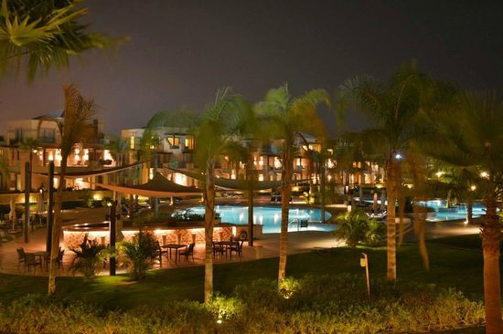 صورة مصغرة 9