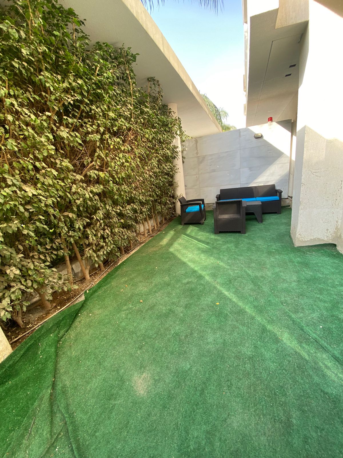 صورة مصغرة 11