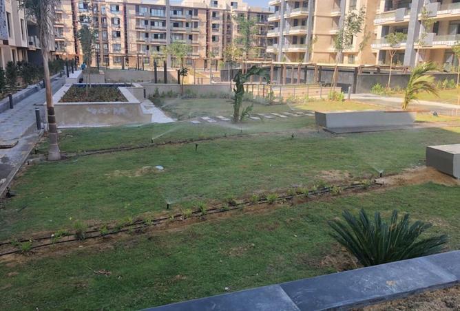 صورة مصغرة 10