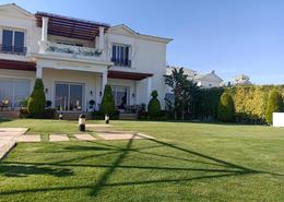 صورة مصغرة 9