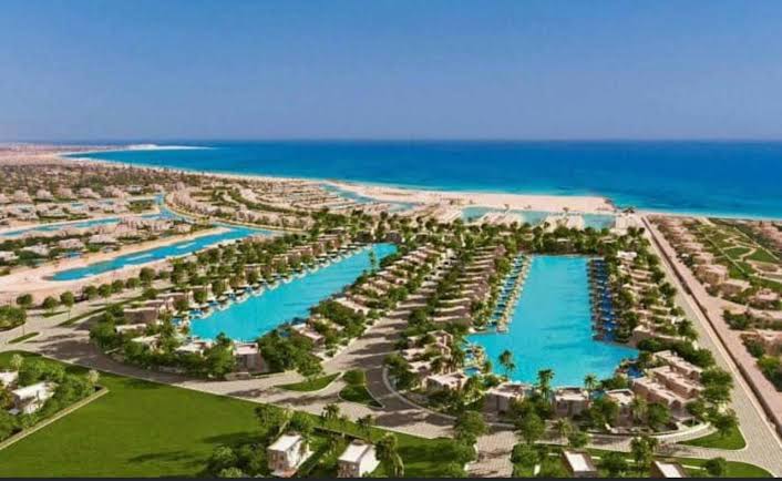 صورة مصغرة 8