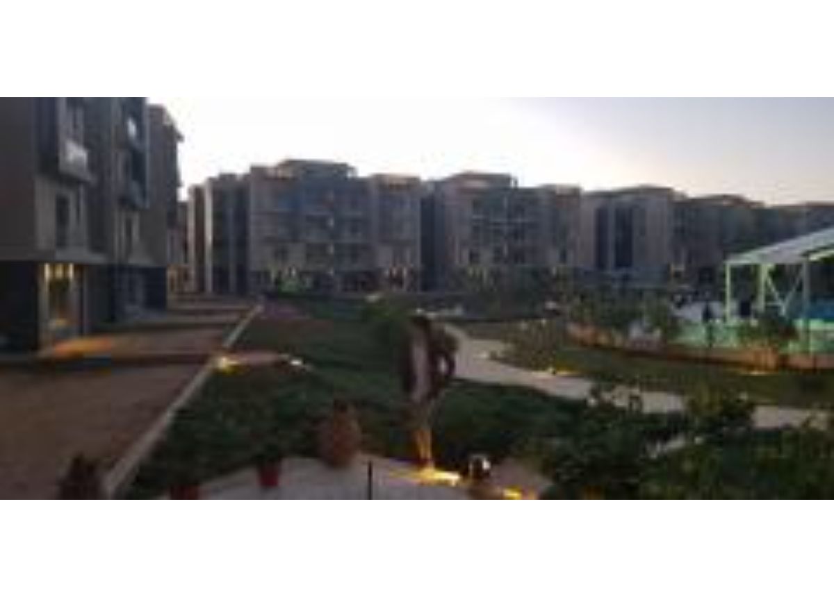 صورة مصغرة 12