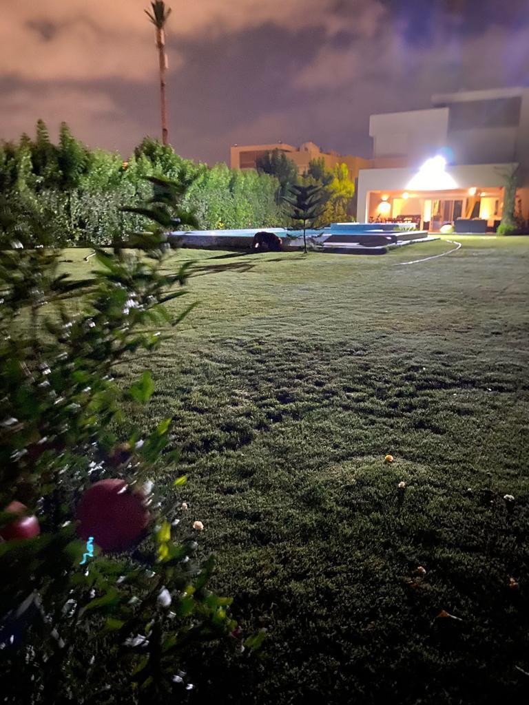 صورة مصغرة 9