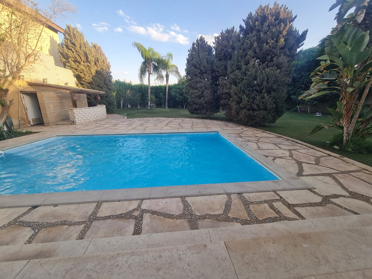 صورة مصغرة 13