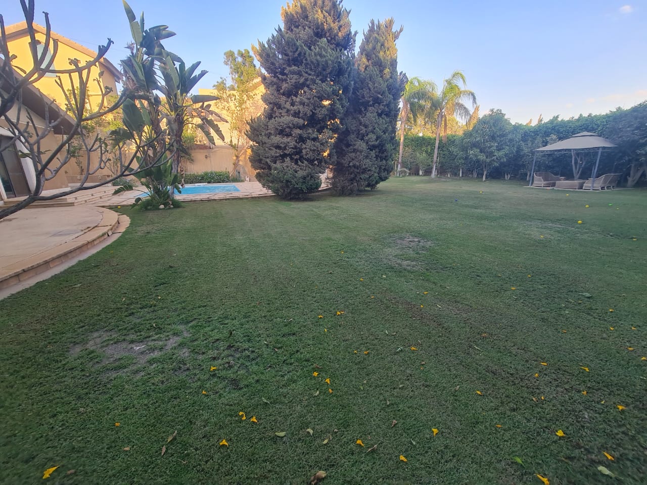 صورة مصغرة 16