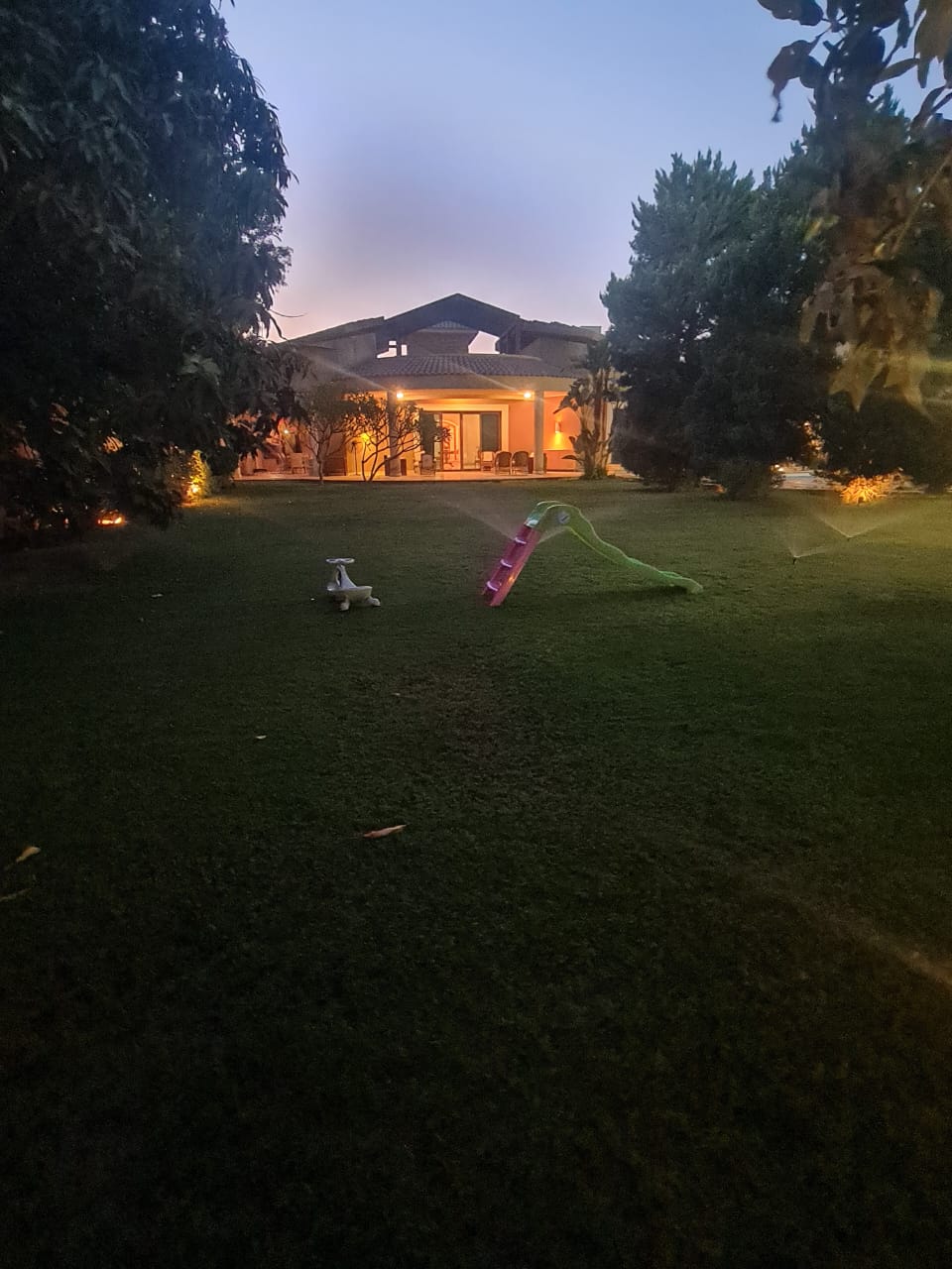 صورة مصغرة 17