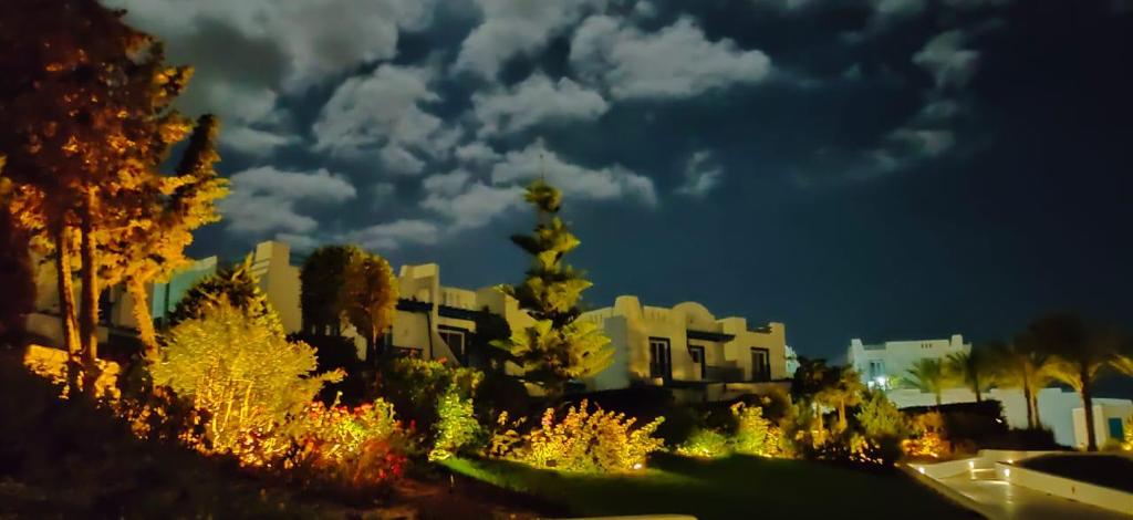 صورة العقار 2