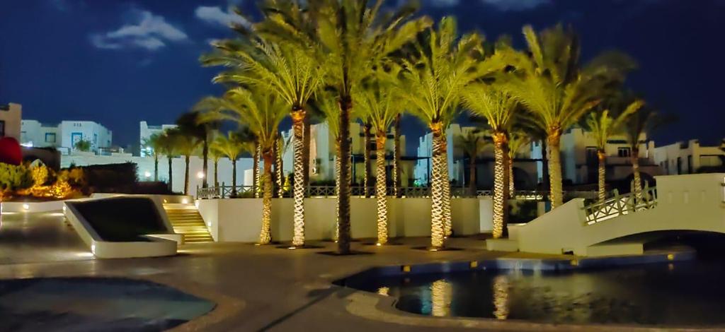 صورة العقار 3