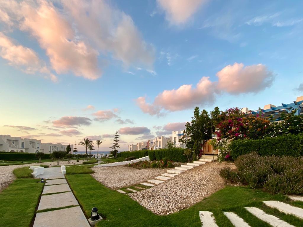 صورة مصغرة 13