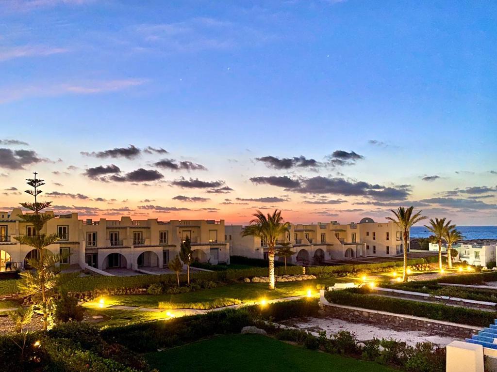 صورة مصغرة 15