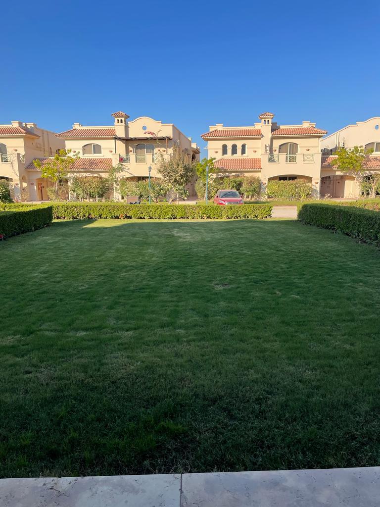 صورة مصغرة 8