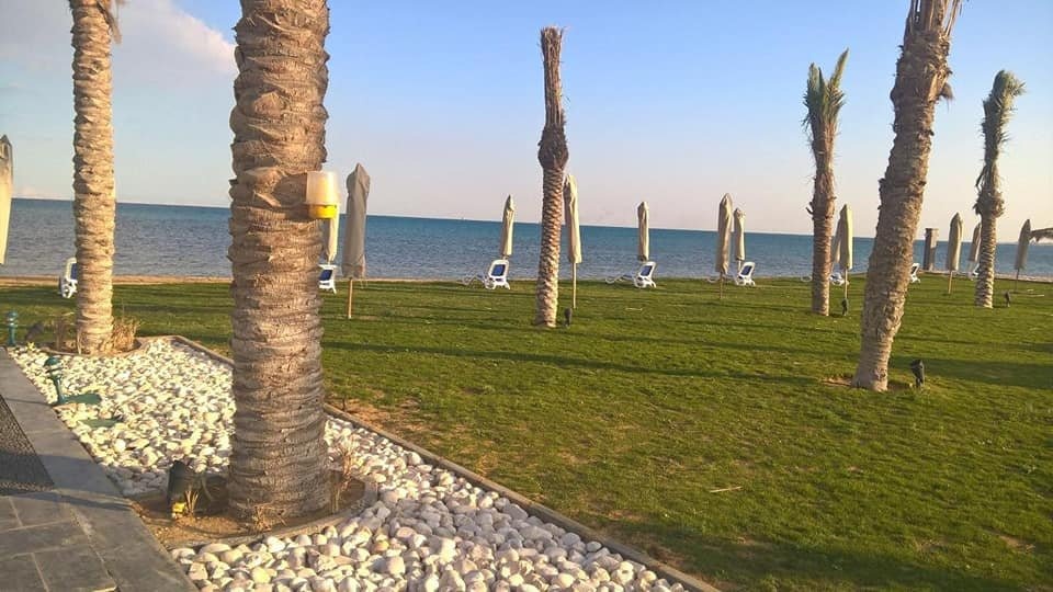 صورة مصغرة 4