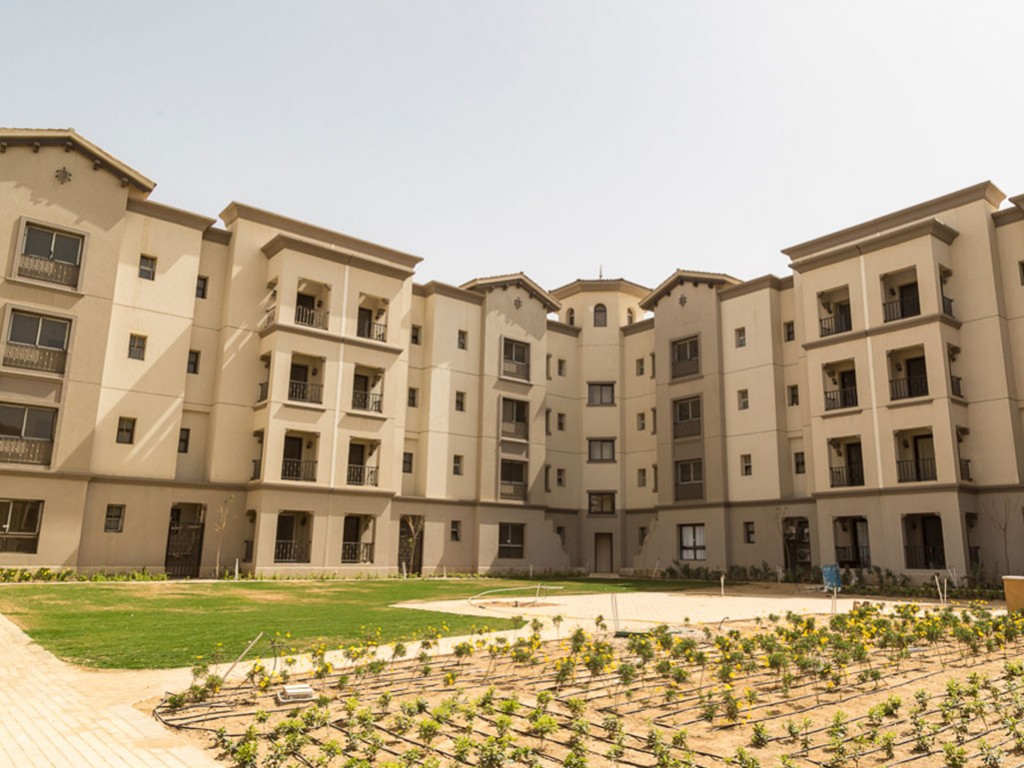 صورة مصغرة 7