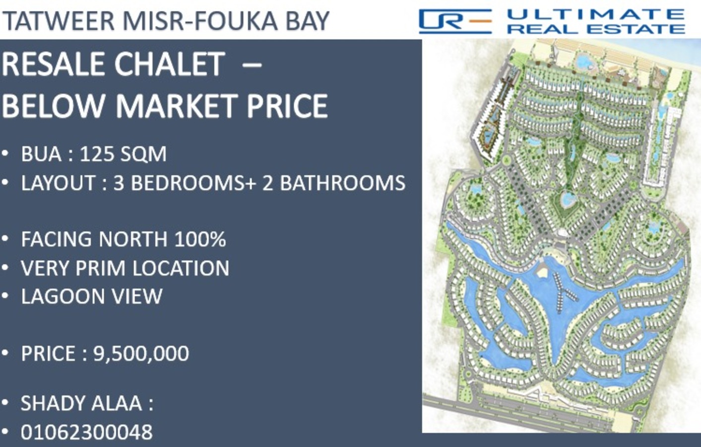 صورة مصغرة 15