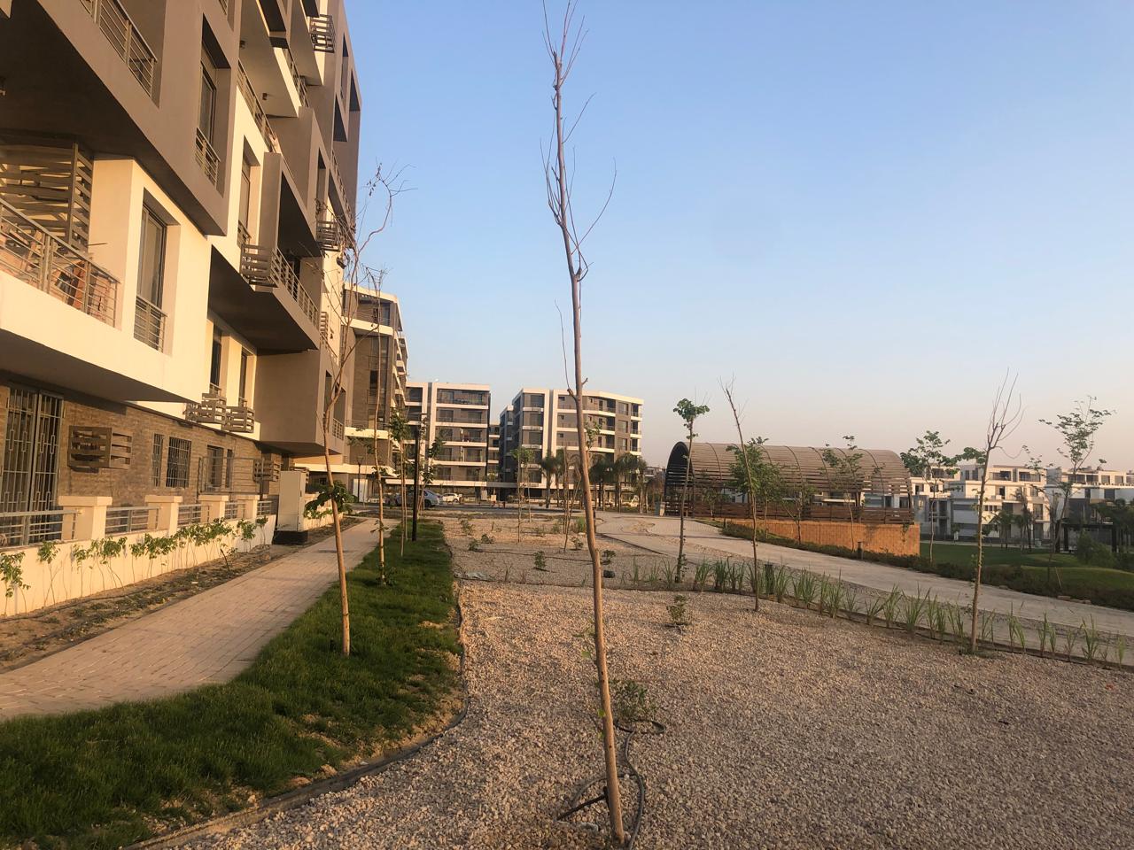 صورة مصغرة 6