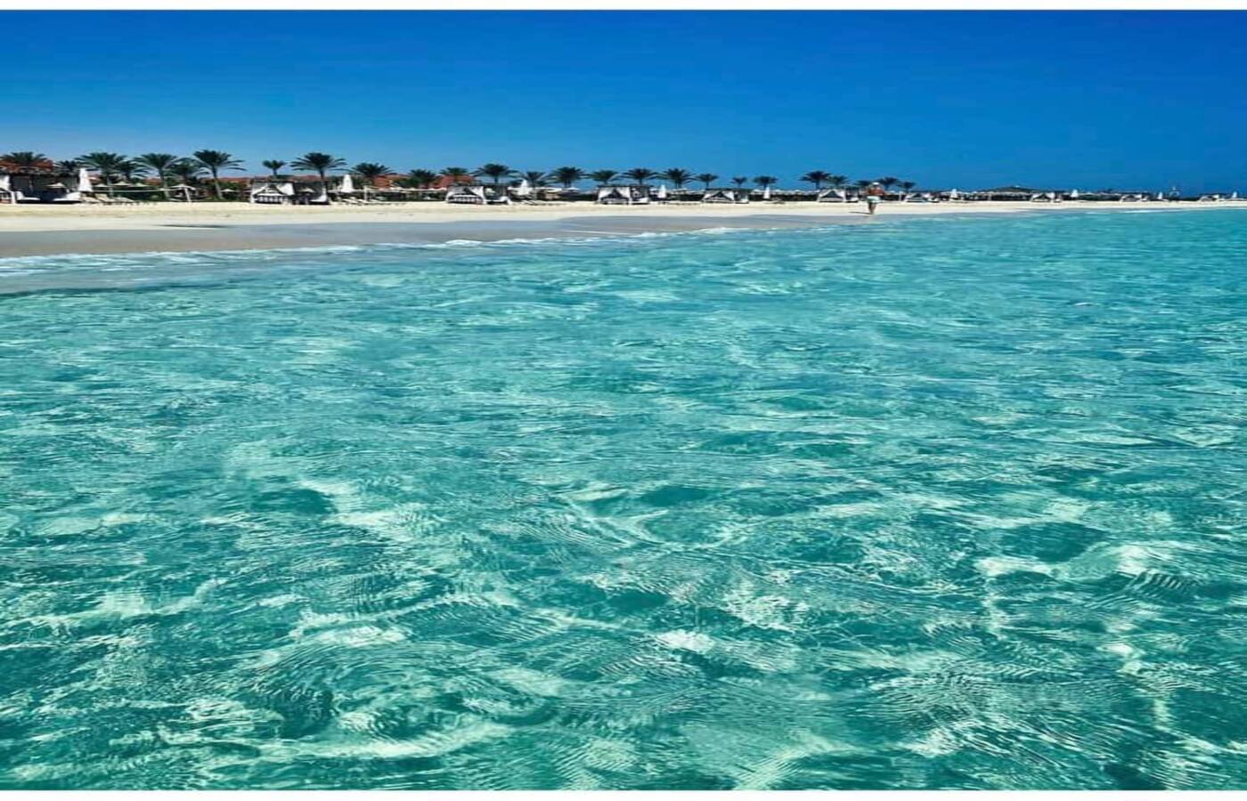 فيلا مستقلة -للبيع -  في مراسي باي - فيو على البحر