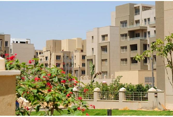 صورة مصغرة 8