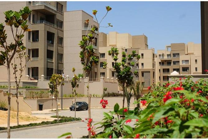 صورة مصغرة 11