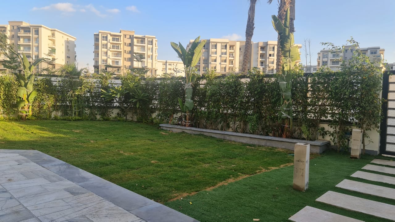 صورة العقار