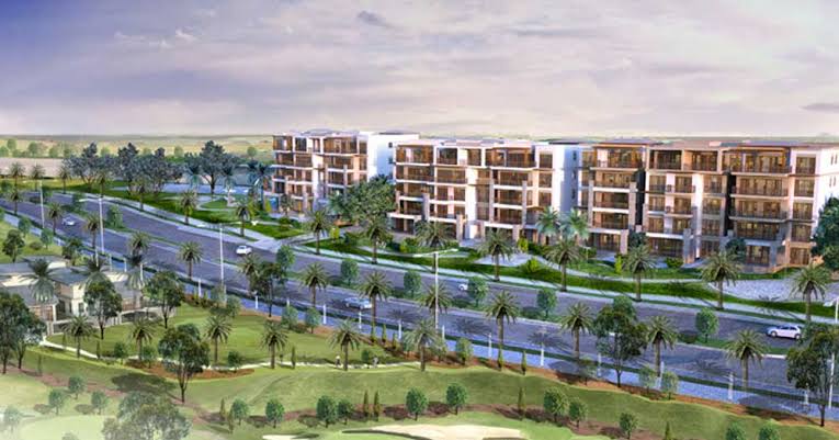 صورة مصغرة 11