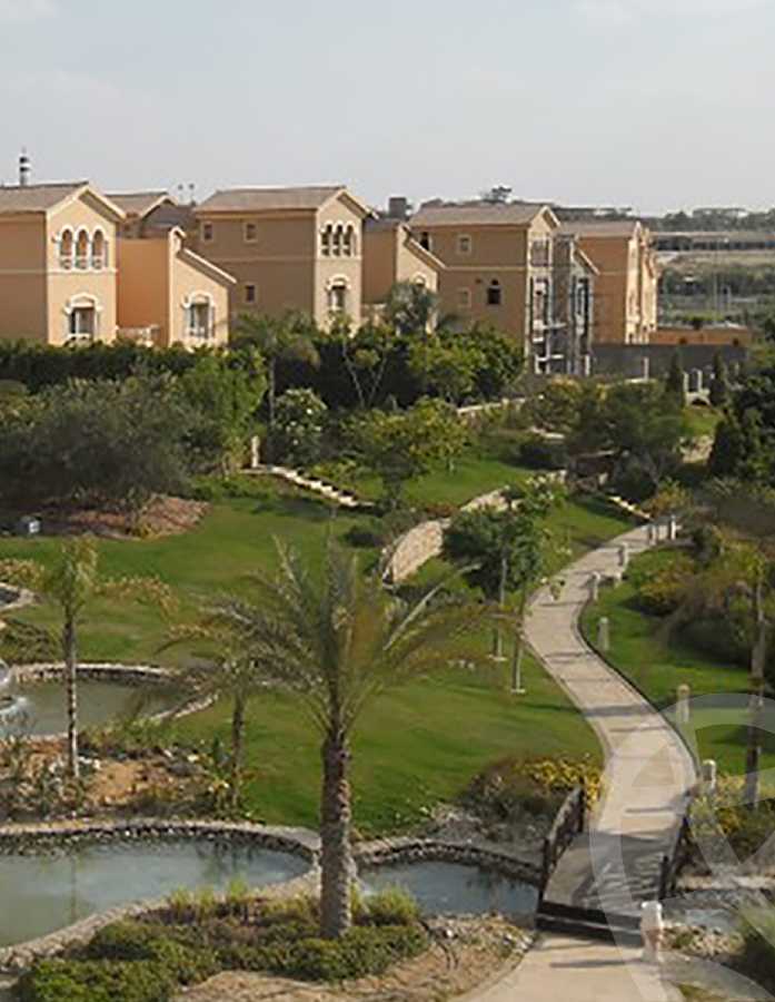 صورة مصغرة 4