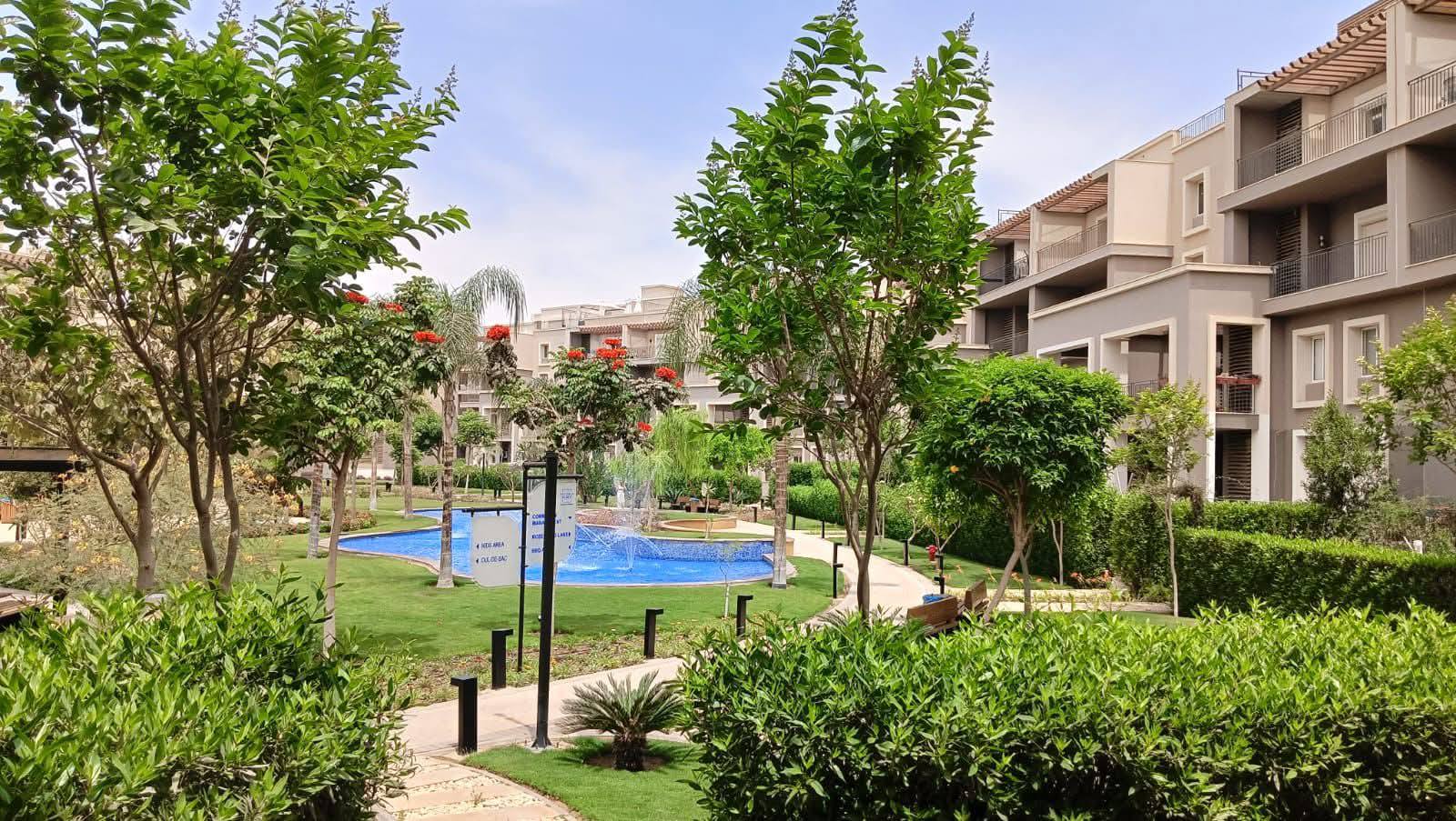 صورة مصغرة 10