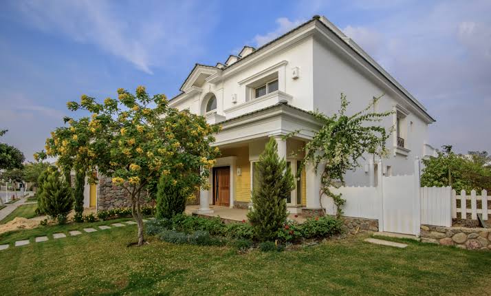 صورة مصغرة 6