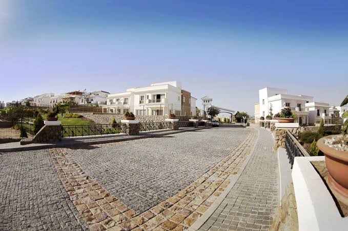 صورة مصغرة 8