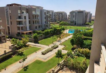 صورة مصغرة 10