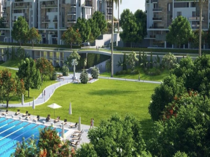 صورة مصغرة 14