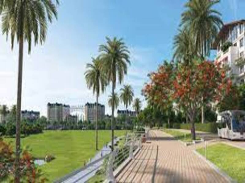 صورة مصغرة 18